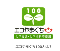 エコやまぐち100 化学農薬・化学肥料不使用