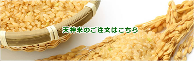 天神米のご注文はこちら
